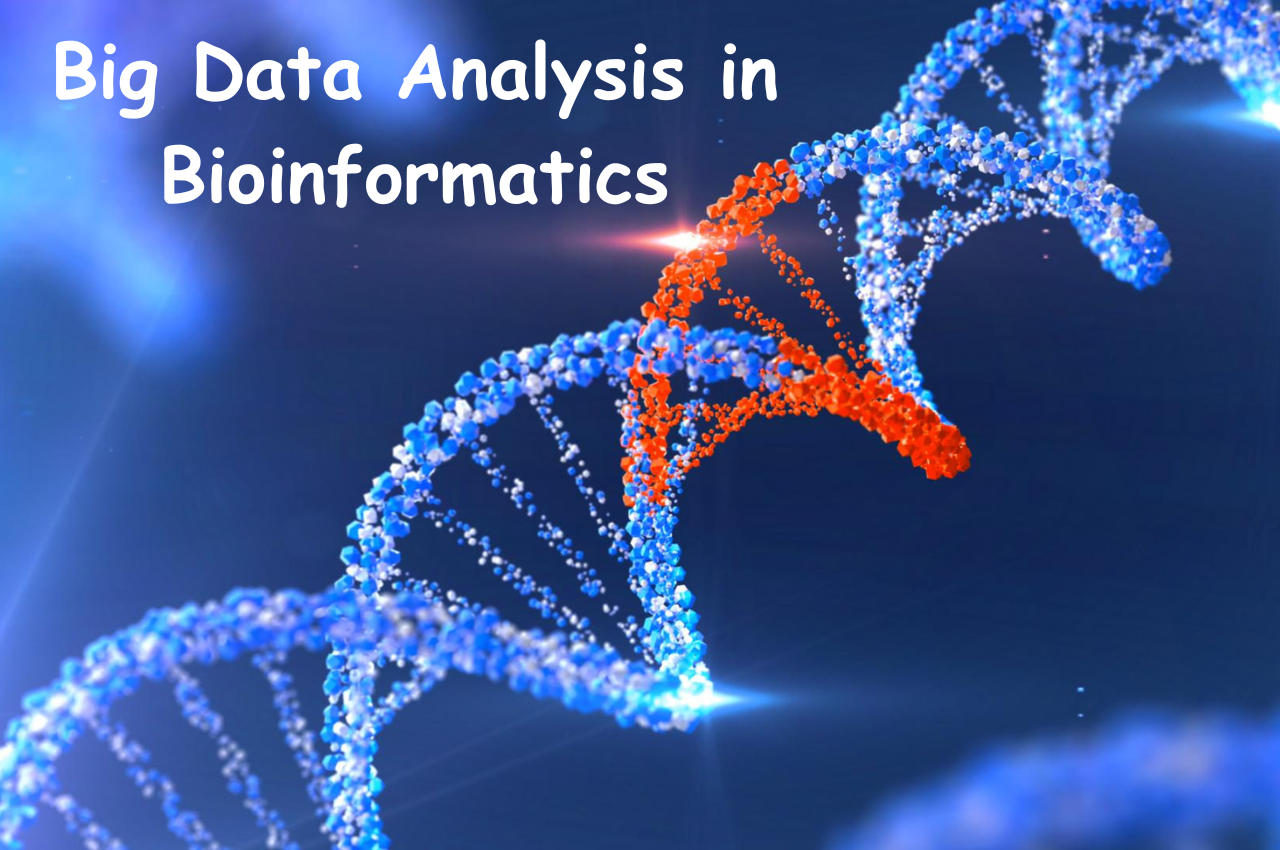 Bioinformatics, Big Data, Transforming Big Data, Biological Insights